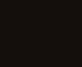 Плитка COLOURS BLACK 33*100