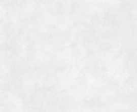 Плитка Indiga White Matt 40x120