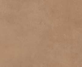 Керамогранит Mediterranea Coral PW R 60x60