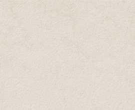 Плитка Portwall White Mate Rect 33,3x100