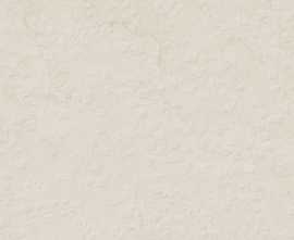 Плитка Portwall Rlv. Bloom White Mate Rect 33,3x100