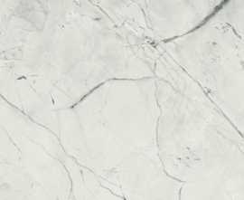 Керамогранит 188639 Light Calacatta 60x120