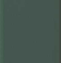 Плитка Plinto Green Matt 10.7x54.2