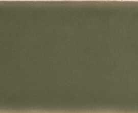 Плитка 134624 Yoko Moss Gloss 6,2x12,5