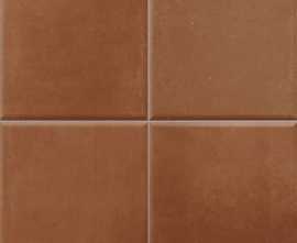 Плитка Terre Tandoori 10x10 20х20