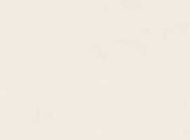 Плитка RA6C Vida Beige Rett 30x90
