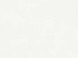Плитка RA5X Vida Bianco Rett 30x90
