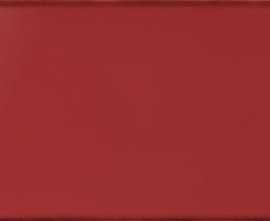 Плитка R4YD Frame Plum 25*76