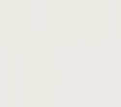Плитка E829(D726) 4D Plain White Matt 40х80
