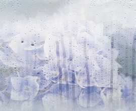 Плитка 131614 Rosa Деко 20*45
