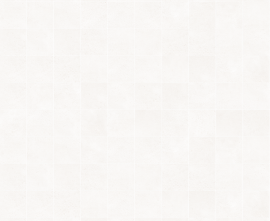 Мозаика 23321 D.Salines White Mosaic 30x30