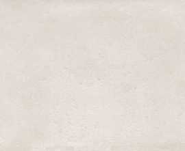 Плитка 23143 Salines Silver R 33.3x100