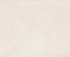 Плитка 23136 Salines Bone R 33.3x100