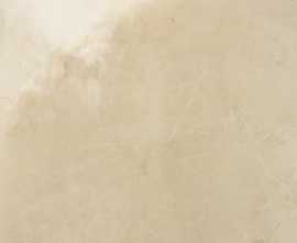 Керамогранит Golden Cream Lux MJZG 58*58