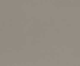 Плитка Colourline Taupe MLE2 22*66.2