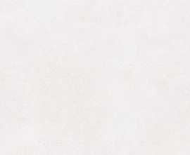Плитка WAKV6790 Betonico white-grey 40x120