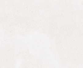 Керамогранит DAA4H790 Betonico white-grey R10 45x45