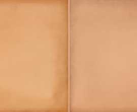 Плитка WARMB522 Retro Brick 20x40