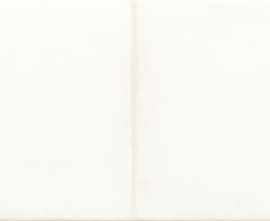 Плитка WARMB521 Retro White 20x40