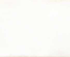 Плитка WARMB520 Retro White 20x40