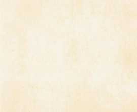 Плитка WATKB230 PATINA light beige 25x33