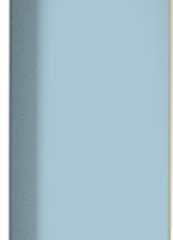 Плитка GSEAP003 Color Two 2,4*20
