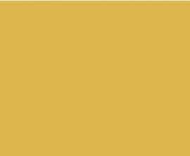 Плитка GAAD8142 Color Two 10*20