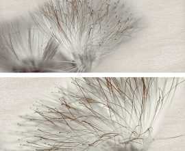 Плитка Decor Set (2) Base Acero 20*50