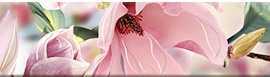 Плитка Border Boho Magnolia 63x7,5