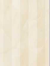 Плитка GMO20L Onyx Lignes 25х75