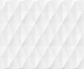 Плитка 010100001311 Blum white 02 250х600