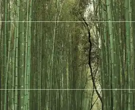 Плитка Bambu Панно (из 3-х плиток) D/E/F 50х75