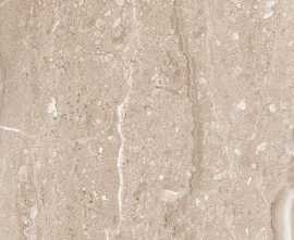 Плитка Pav. Daino Reale 31.6x31.6
