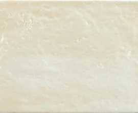 Плитка Liberty Champagne 20x30