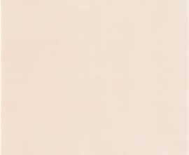 Плитка BEAUTY BEIGE PC 20x20