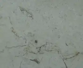 Плитка Pompeya Marfil 20x20