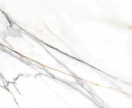 Керамогранит 223527 Calacatta Gold White Pulido Rect 120x120