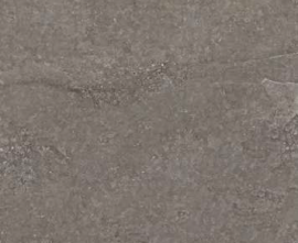 Керамогранит 100310717 Hannover Silver 120x120