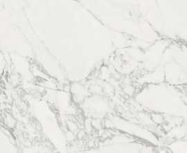 Керамогранит 100296864 Dolomiti Brillo 59.6x59.6