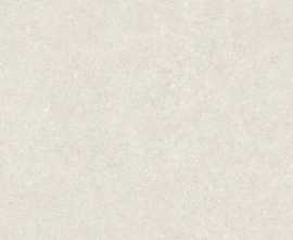 Керамогранит A044029 Iwa White Rect 60x120