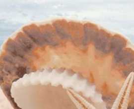 Плитка Аликанте декоративный массив Жемчужина на море (верх) 25х50