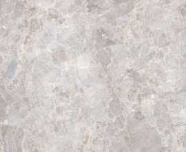 Керамогранит 100307763 Elegant Bone polished 59.6x59.6