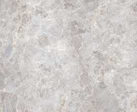 Керамогранит 100305826 Elegant Bone Pulido 120x120