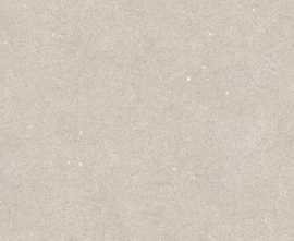 Плитка 100347992 Terra Topo 59.6x150