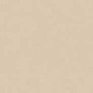 Керамогранит 100355029 Terra Clay 120x120