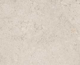 Плитка 100347980 Dorcia Bone 59,6x150