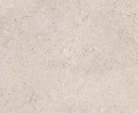 Керамогранит 100348054 Dorcia Bone L 80x80