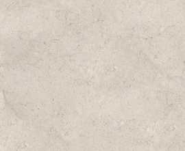 Керамогранит 100348020 Dorcia Bone L 120x120