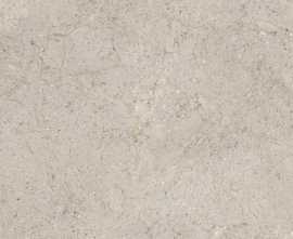 Керамогранит 100348060 Dorcia Acero L 80x80