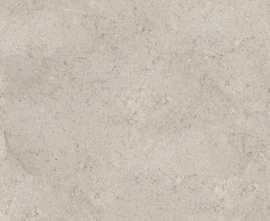Керамогранит 100348026 Dorcia Acero L 120x120